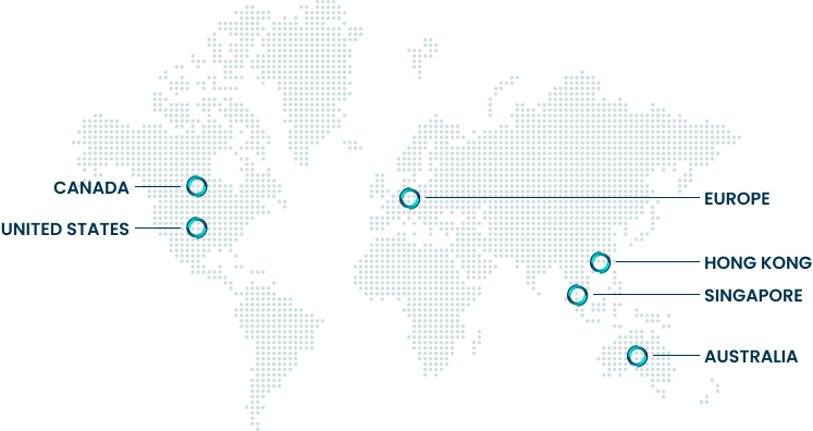 Novata services for Worldwide market map