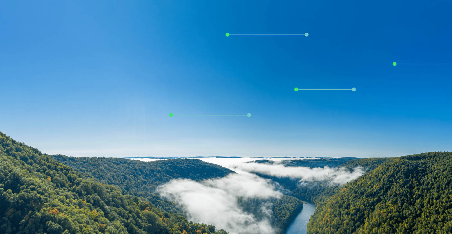 Image: Campaign Landing Page